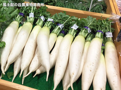 20170930daikon.jpg