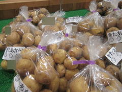 20200515じゃがいも.jpg