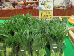 20200515ミニコーン.jpg