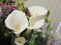 20200525カラー.jpg