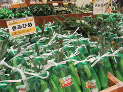 20200613もろこし.jpg