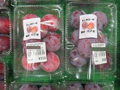 20200706サンタローザ.jpg