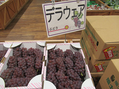 20200713デラウエア.jpg
