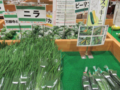 20200713ニラズキニ.jpg