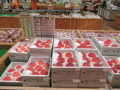 20200713桃送り用.jpg