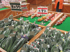 20200720きゅうり1.jpg