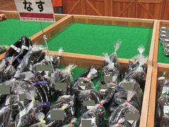 20200720なす.jpg