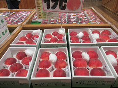 20200720なつっこ.jpg