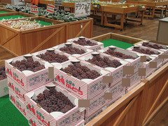 20200720デラウエア.jpg