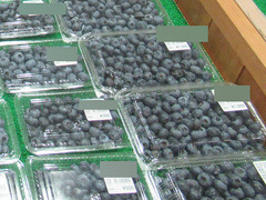20200720ブルーベリー1.jpg