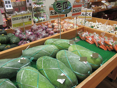 20200725冬瓜.jpg