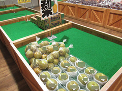 20200725梨築水.jpg