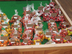20200726ミニトマト.jpg