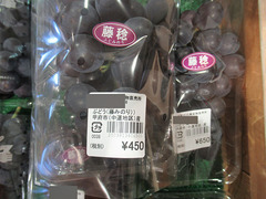 20200801藤みのり.jpg