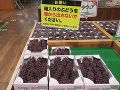 20200803デラウエア箱.jpg