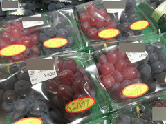 20200805ベニバラオ.jpg