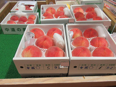 20200812幸茜.jpg