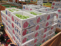 20200813シャインマスカ.jpg