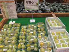 20200817ケルシー.jpg