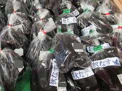 20200824秋ナス.jpg