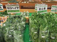 20200824空心菜モロヘイヤ.jpg