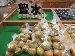 20200824豊水.jpg