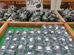20200829プルーン.jpg
