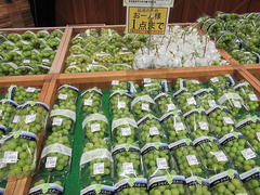 20200831シャイン棚.jpg