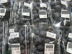 20200905ベリーA.jpg