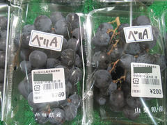 20200914ベリーA.jpg
