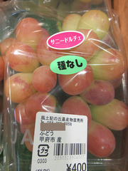 20200920サニードルチェ.jpg