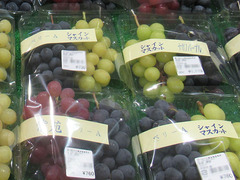 20200920紫苑ナガノ.jpg