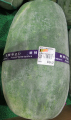 20201001冬瓜.jpg