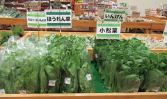 20201005ほうれん草小松菜.jpg