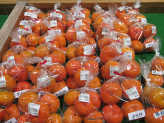 20201005早秋.jpg
