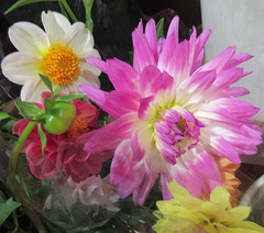 20201012切り花.jpg