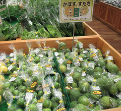 20201017スダチカボス-1.jpg