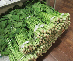 20201017野沢菜.jpg