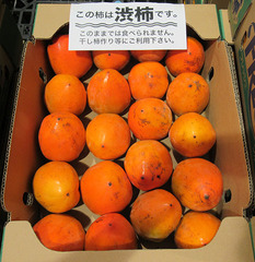 20201024百目柿.jpg