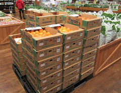 20201025百目白菜.jpg