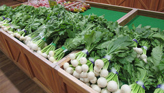 20201112こかぶ全体.jpg
