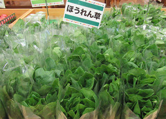 20201112ほうれん草全体.jpg