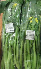 20201112アスパラ菜.jpg