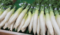 20201112大根全体.jpg