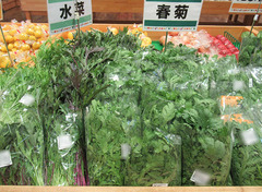 20201112水菜春菊.jpg