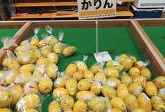 20201116かりん.jpg