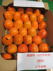 20201116渋柿 鉢屋柿.jpg