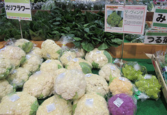 20201205カリフラワー1.jpg