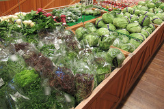 20201205キャベツレタス.jpg