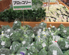 20201210ブロッコリ.jpg